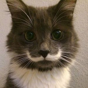 Meet your Posher, Fernanda